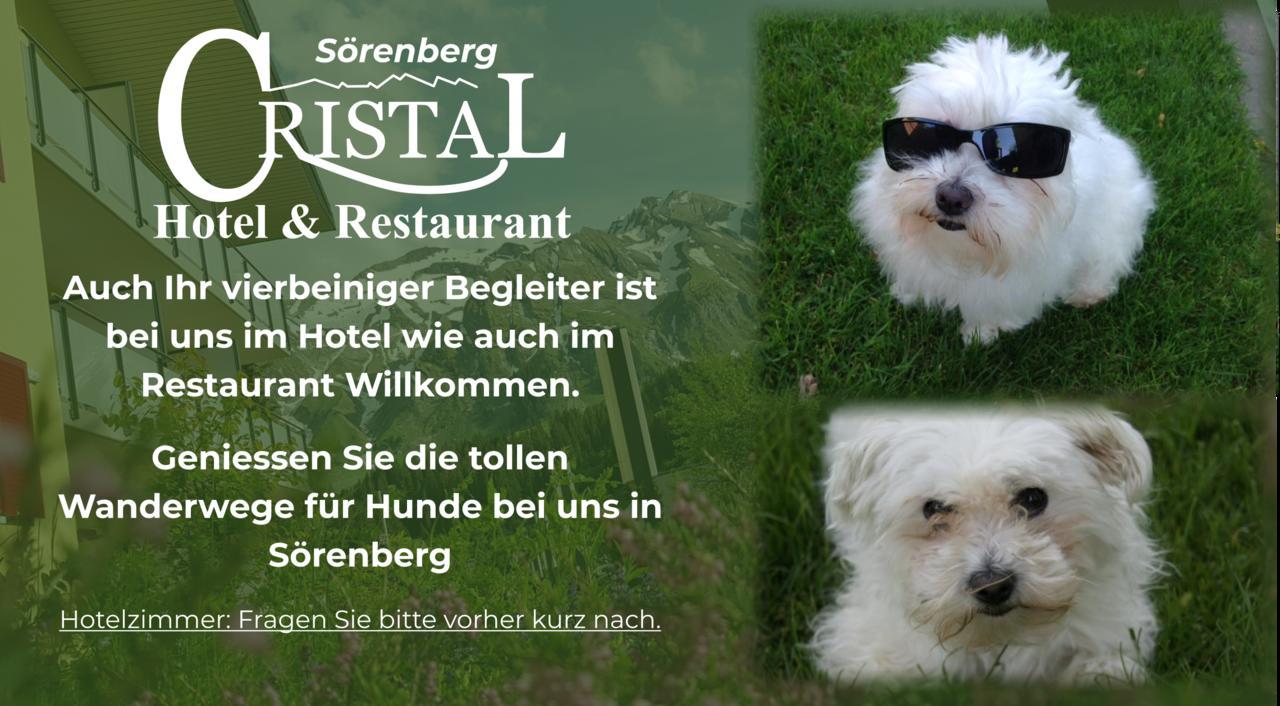 Hotel Cristal Soerenberg מראה חיצוני תמונה